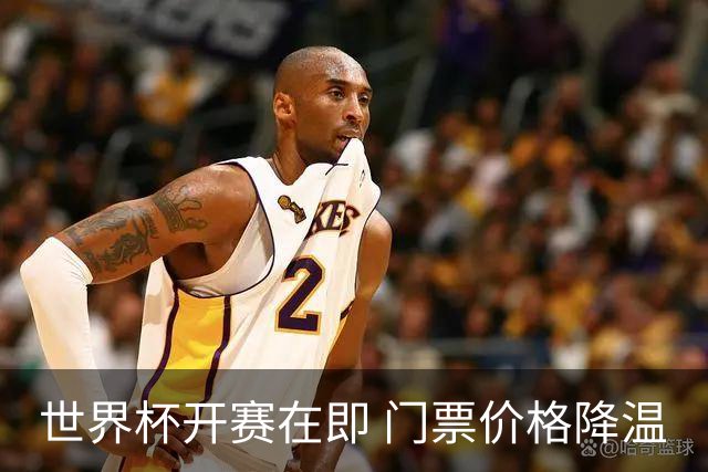 世界杯开赛在即 门票价格降温